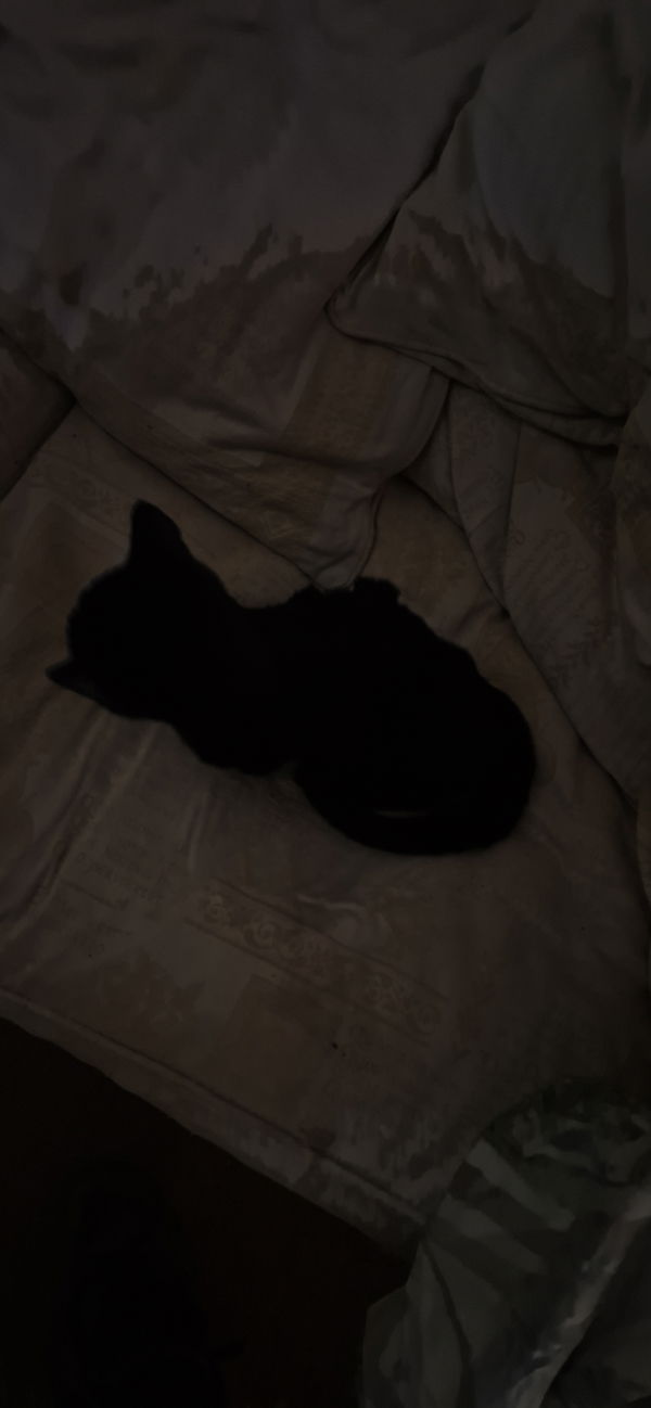 BigSam, 19 years old from United Kingdom