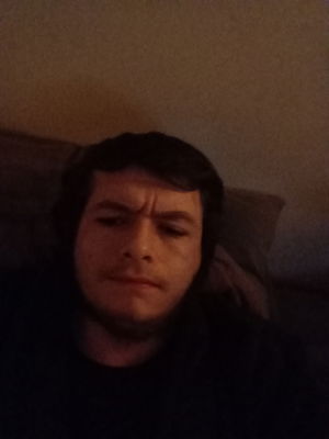 domcaucci's Profile Photo