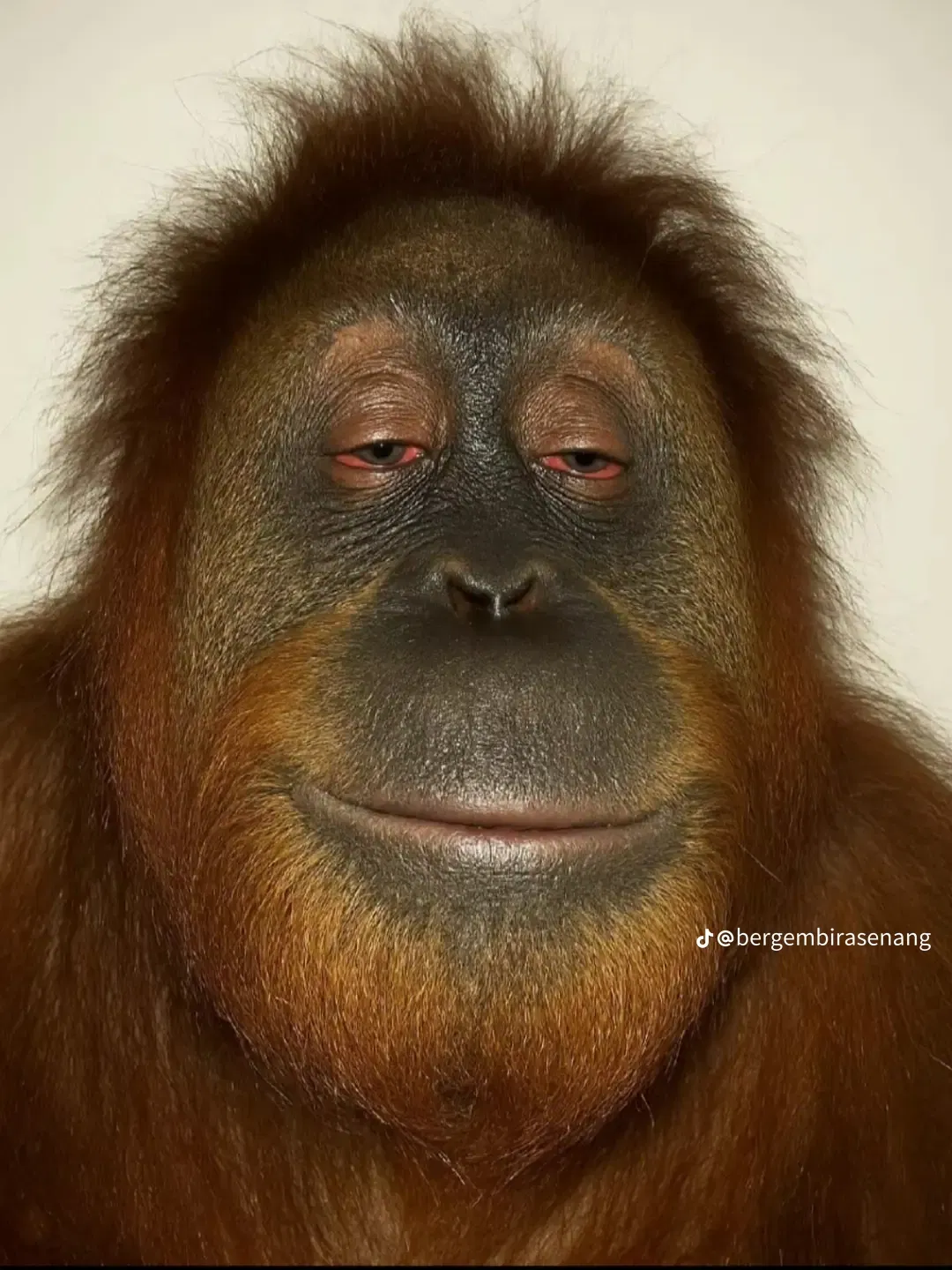 booga3184's Cover Photo