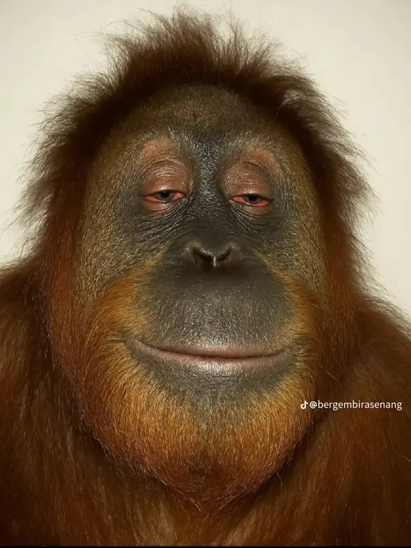 booga3184, 19 years old from United Kingdom