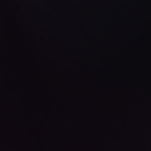 gentleleopard23's Profile Photo