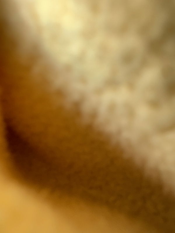 Heythere123, 25 years old from Canada