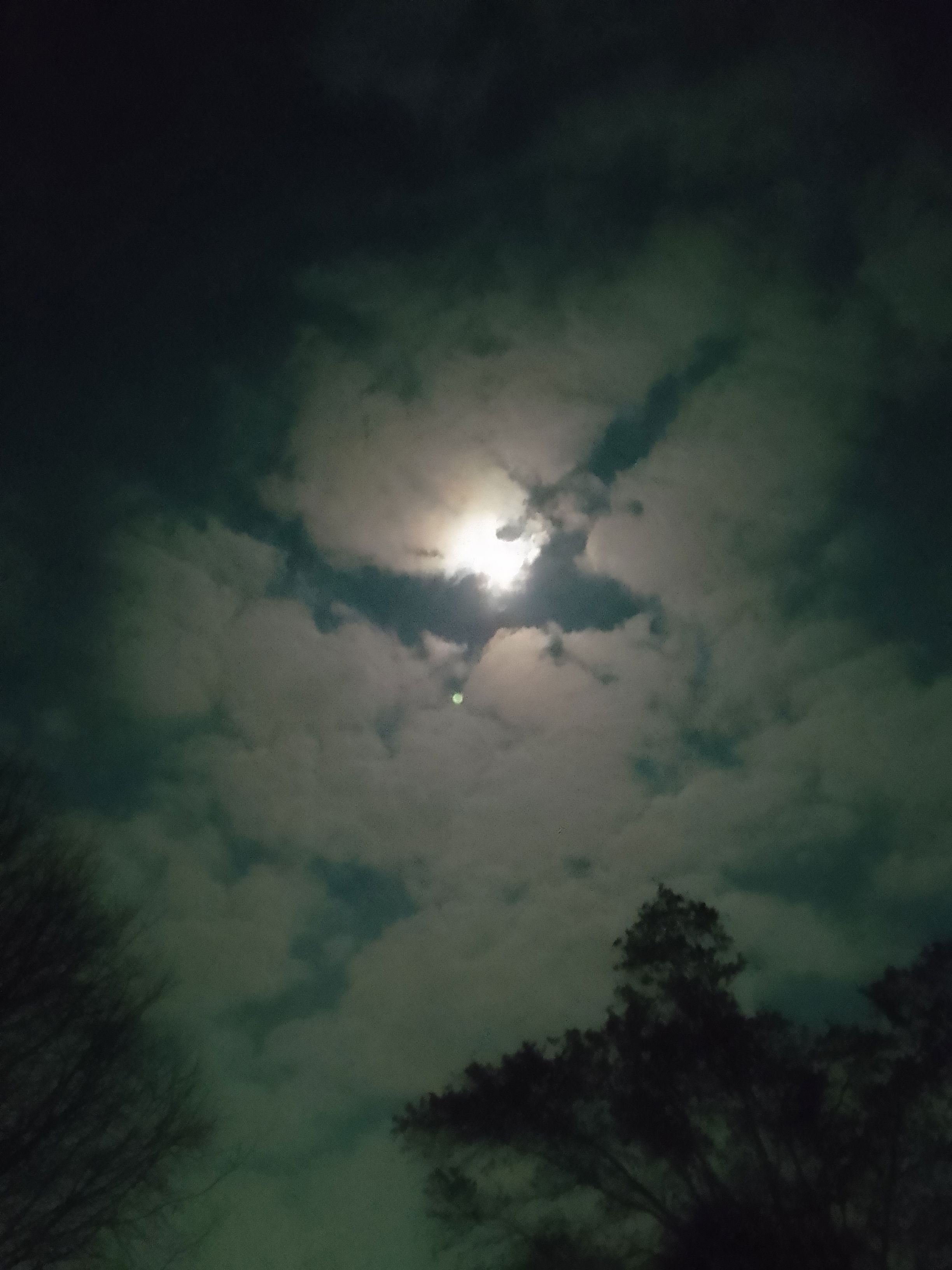 bw4126827's Profile Photo