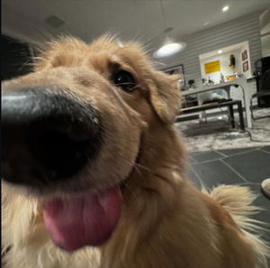 masterchiefs-117's Profile Photo