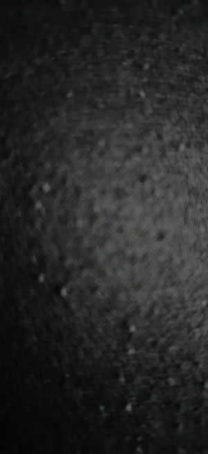 emilyxe19xx's Profile Photo