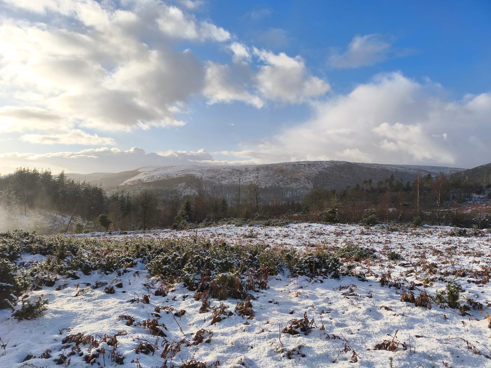 sarahtheonw's Cover Photo