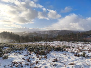 sarahtheonw's Profile Photo