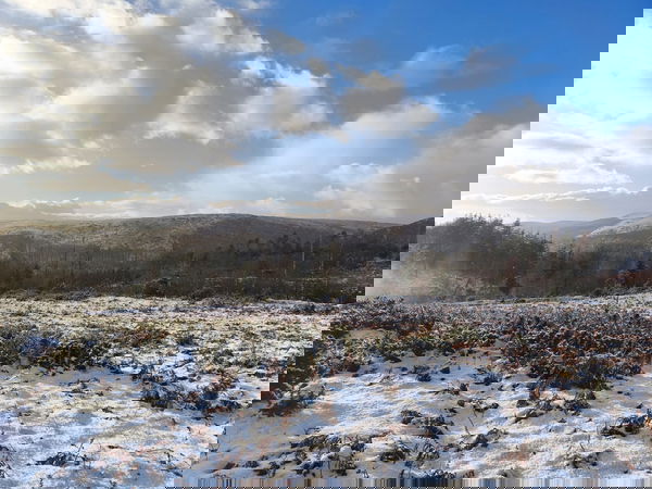 sarahtheonw, 19 years old from Germany