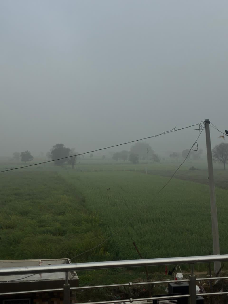 cockyrahul's Profile Photo