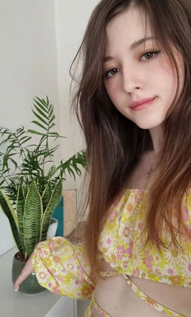 sofapok's Profile Photo