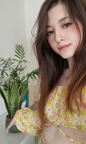 sofapok's Profile Photo