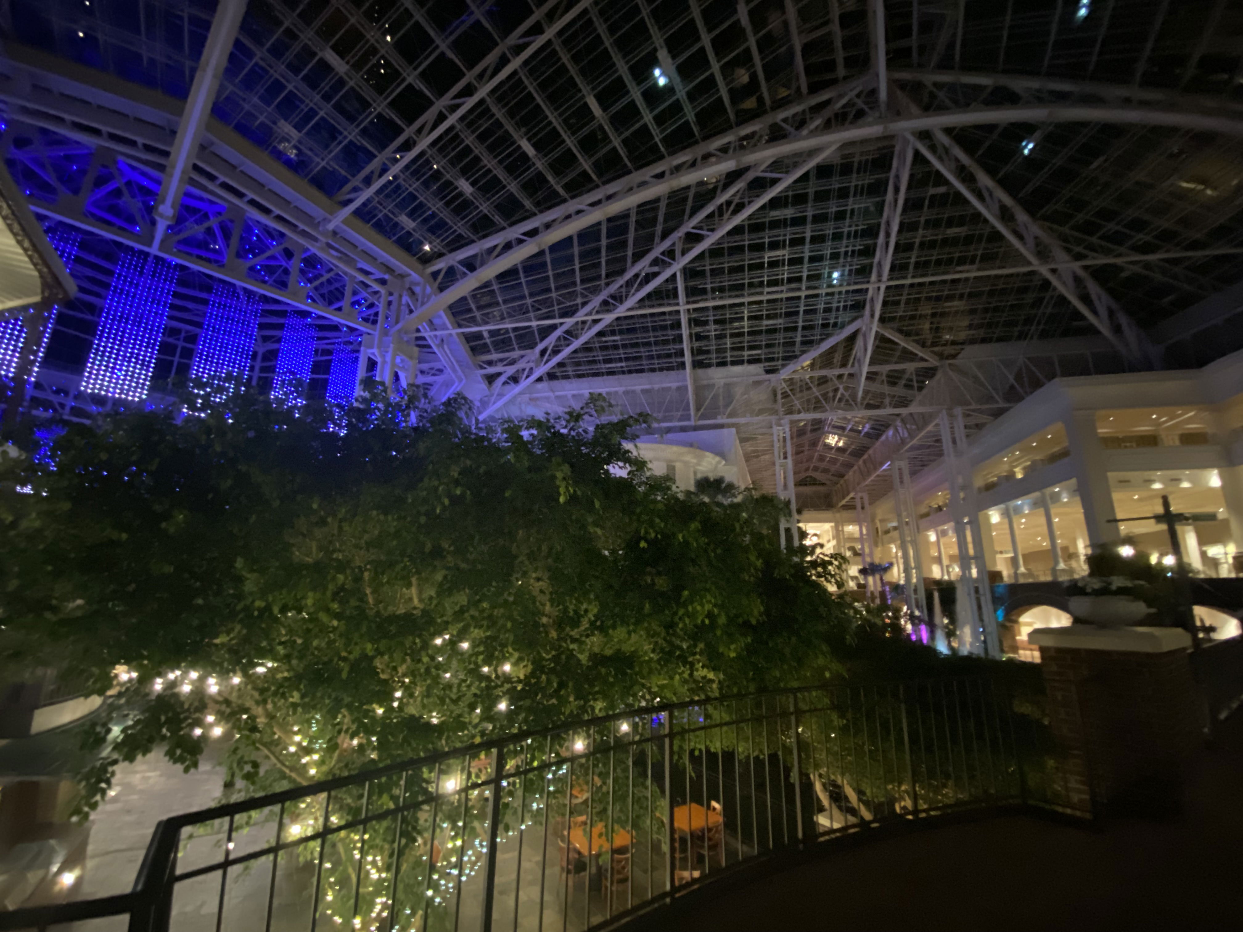 Vk1_'s Profile Photo