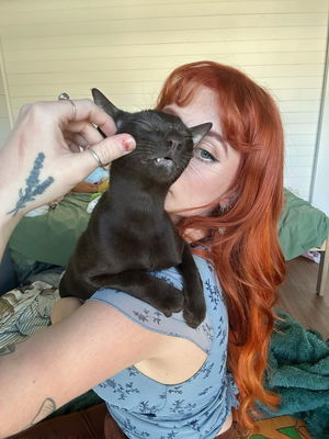 sselcenstochliya45's Profile Photo