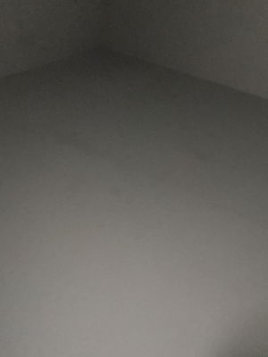 brettsawyer4343's Profile Photo