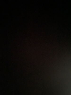 tybeecham2k19's Profile Photo