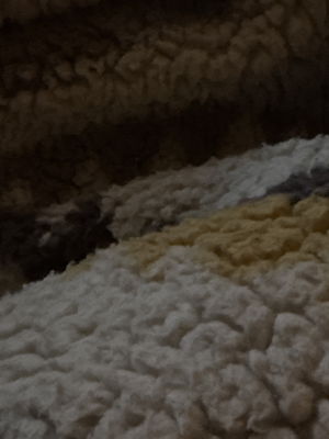 runsonthirdleg's Profile Photo