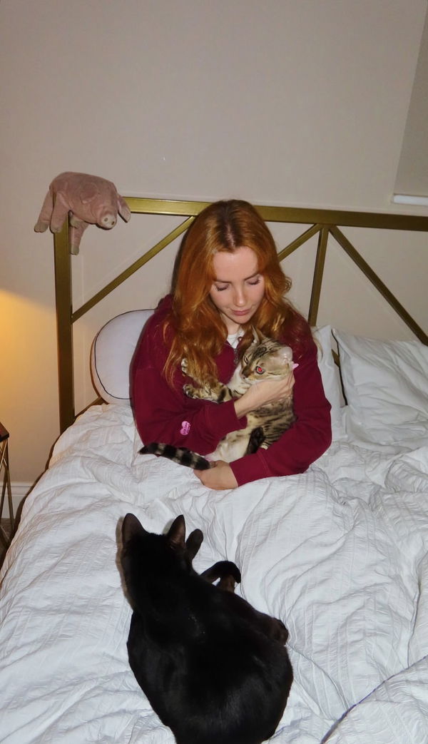 wfislah748, 25 years old from United States