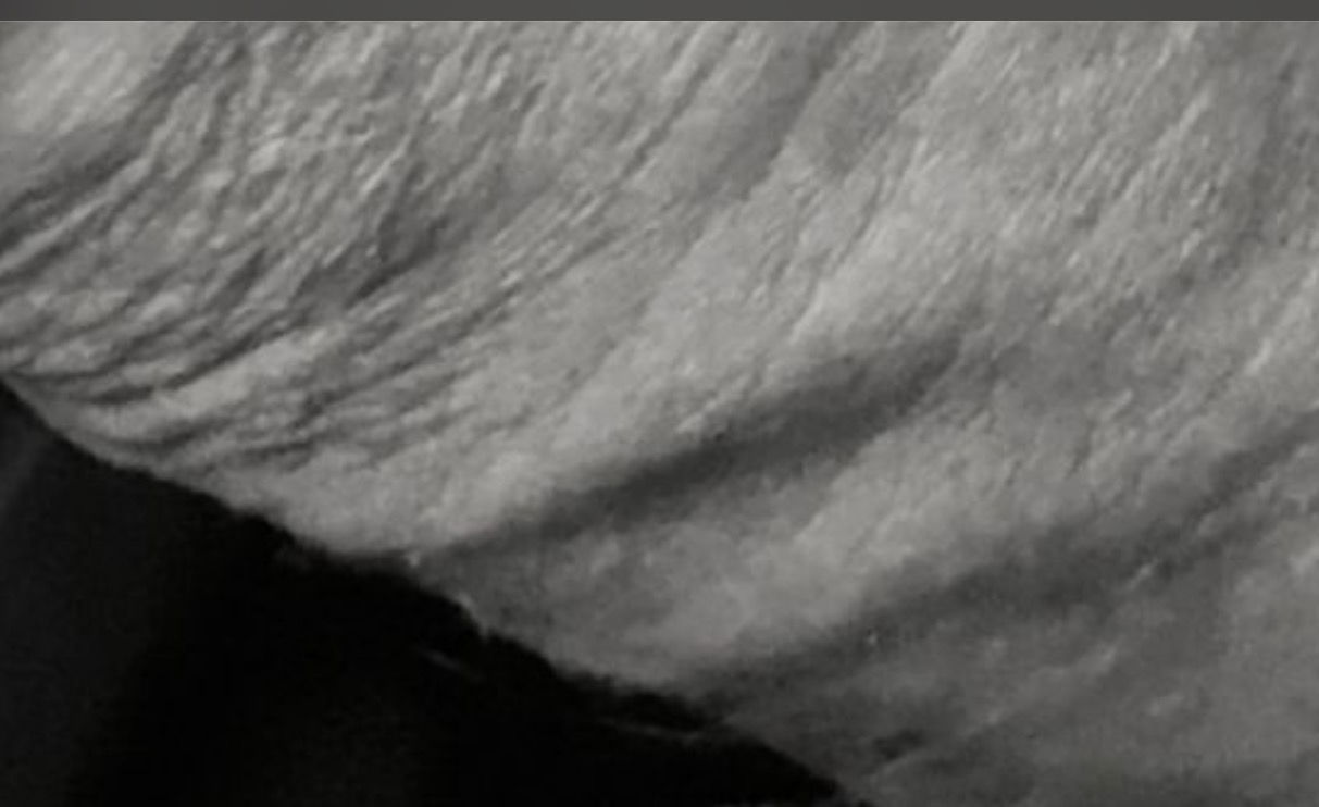 ccc1079555's Cover Photo