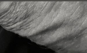 ccc1079555's Profile Photo