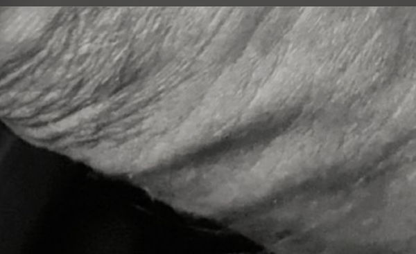 ccc1079555, 45 years old from Romania