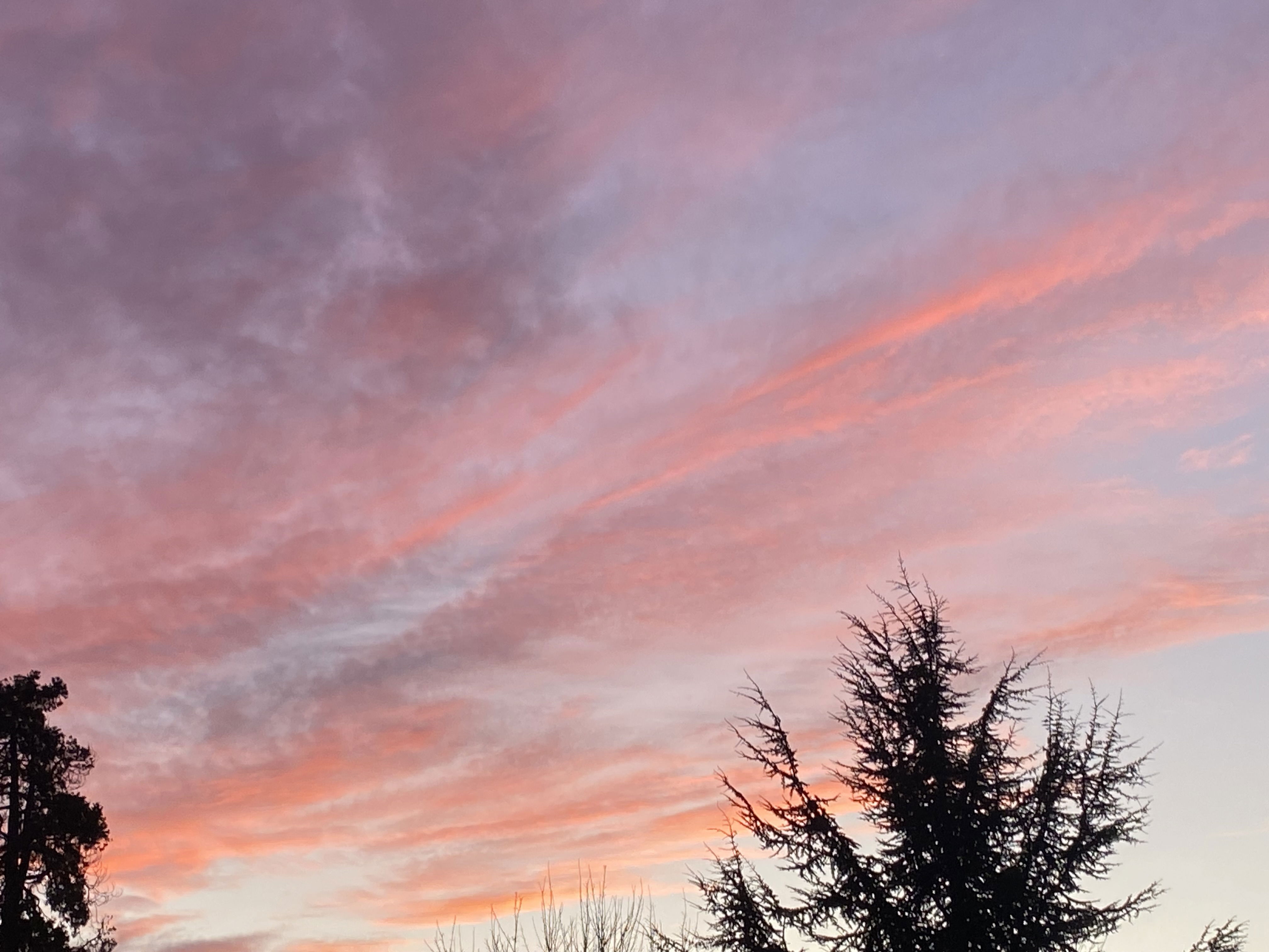 Benmmmmmorgan's Profile Photo