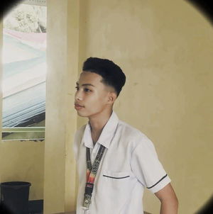 Nicolae's Profile Photo