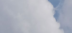 bkh_7's Profile Photo