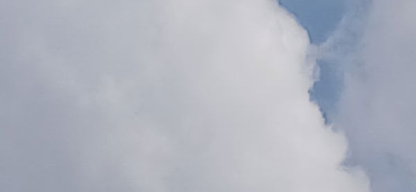 bkh_7, 23 years old from South Africa