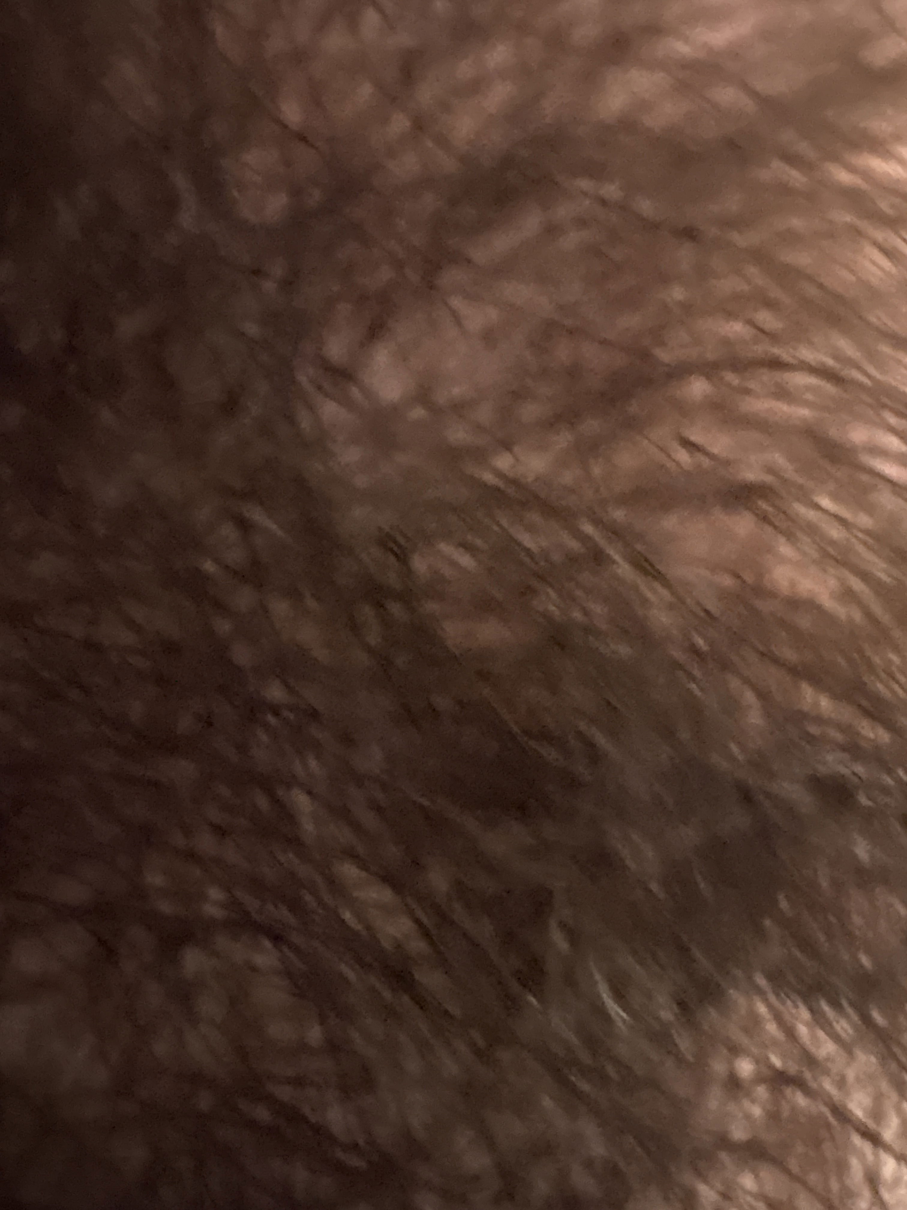 jontomaszewski11's Profile Photo