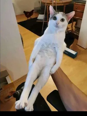 Zane108's Profile Photo