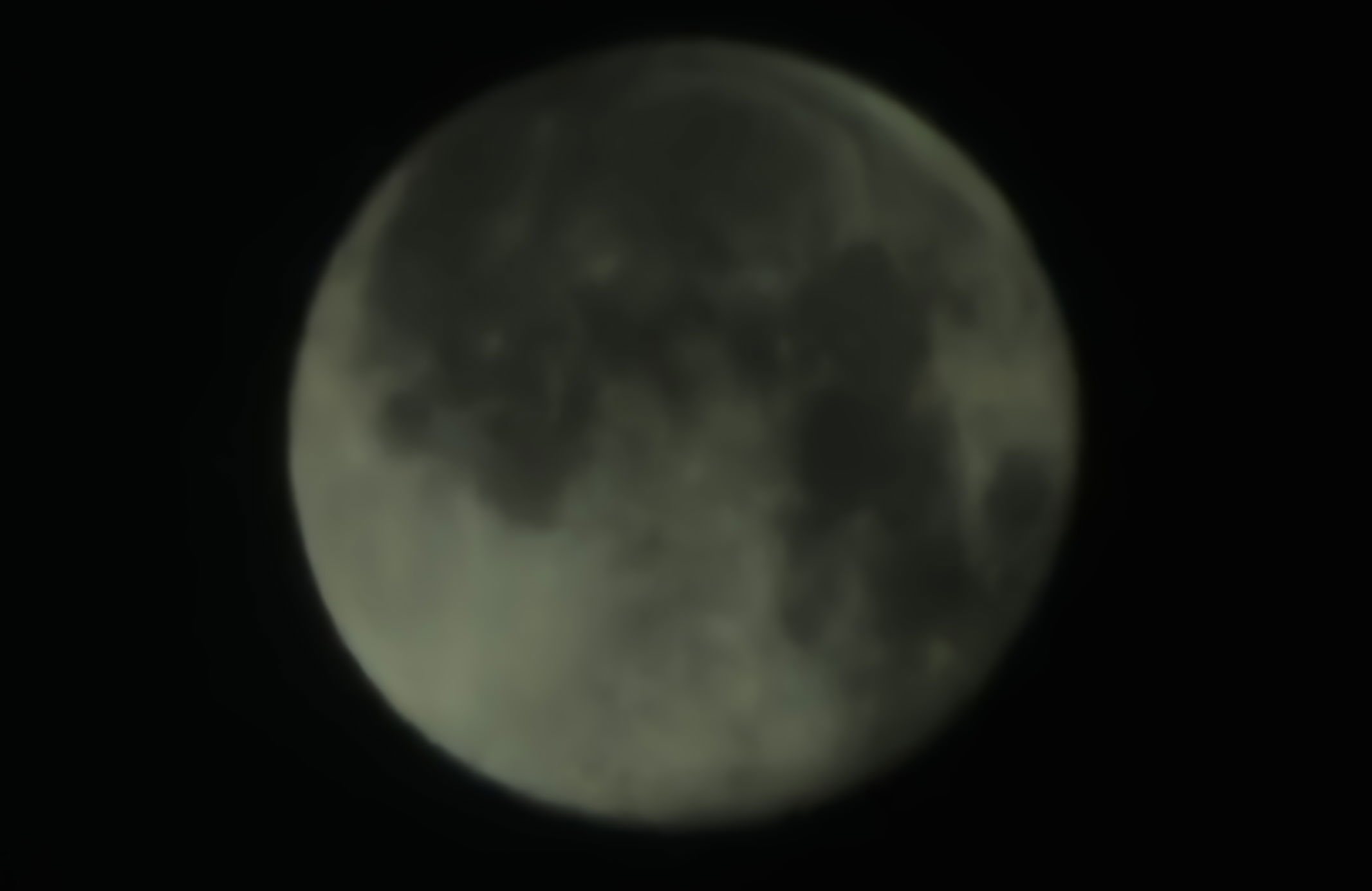 belugabg50's Profile Photo