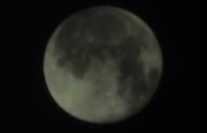 belugabg50's Profile Photo