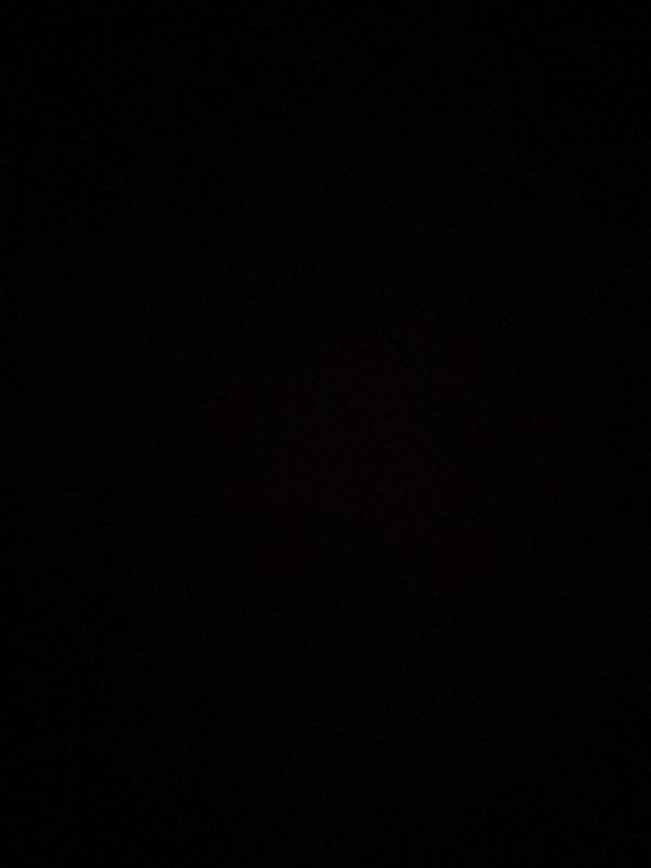 Bigdick7955688, 18 years old from United States