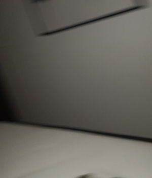 alexingenmail's Profile Photo