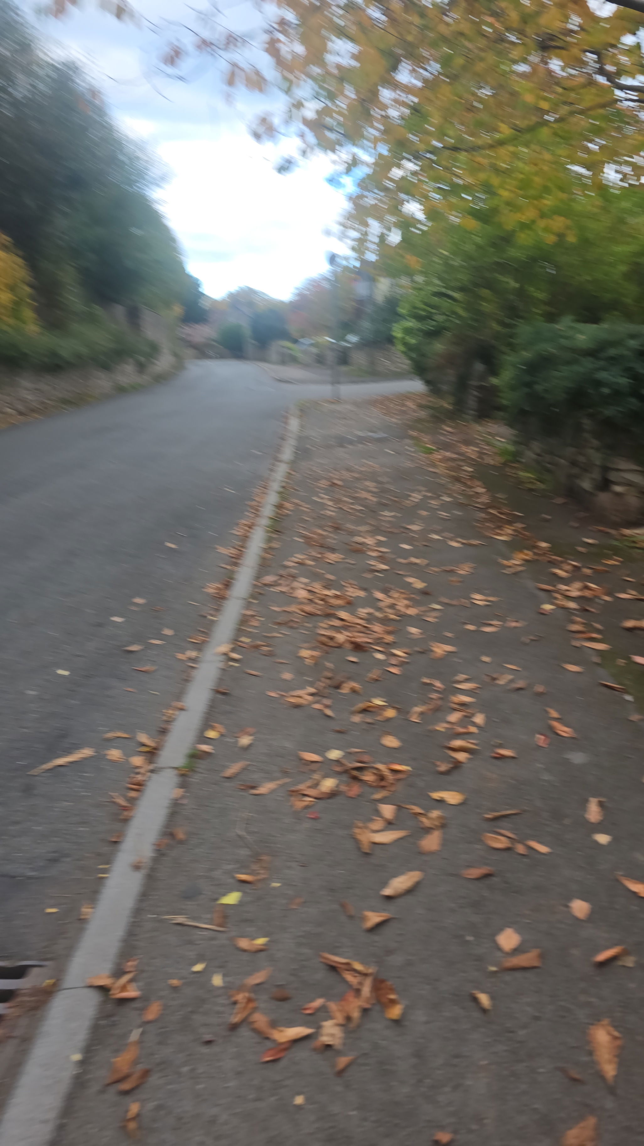 ra2444178's Cover Photo