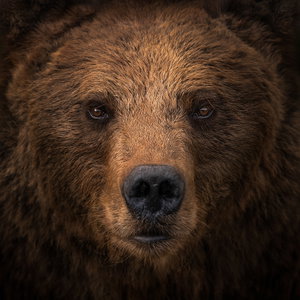 kallangur26's Profile Photo