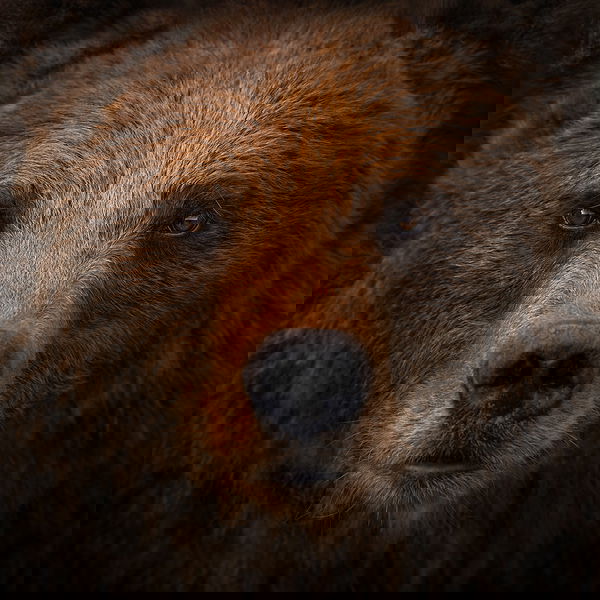 kallangur26, 55 years old from Australia