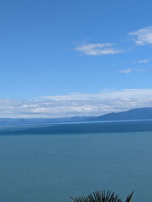 j68558389's Profile Photo