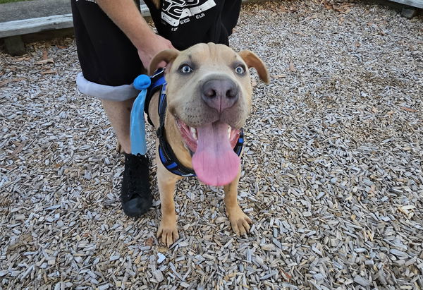 xandernortjenz, 25 years old from New Zealand