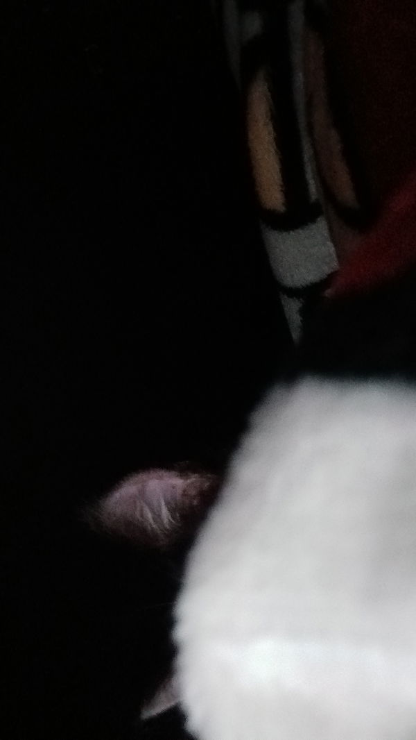 davidssam672, 21 years old from United States