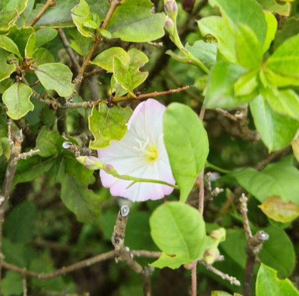 mm3rcur11, 18 years old from United Kingdom