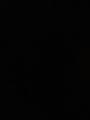 davidgamboa's Profile Photo