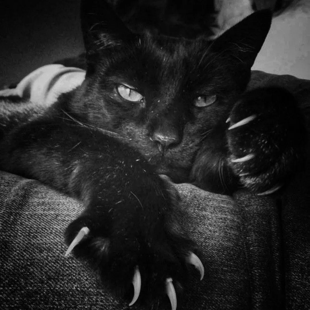 carlosjean52564's Cover Photo