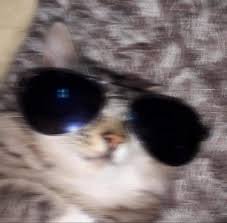 jonmichael's Profile Photo