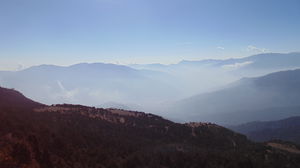 seankay503's Profile Photo