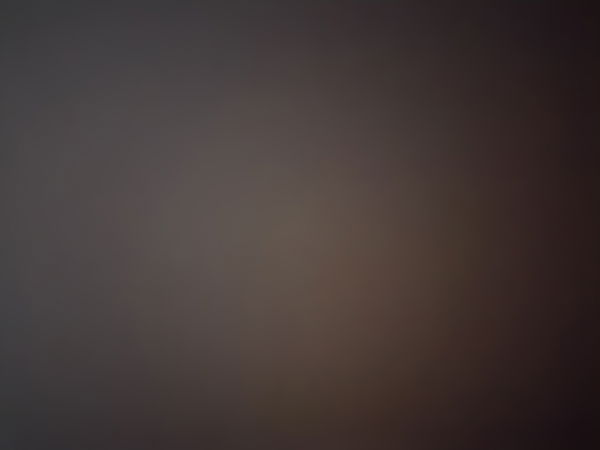 steve25526, 18 years old from Netherlands