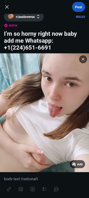 camares266's Profile Photo