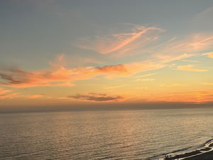 Suckyducky's Profile Photo