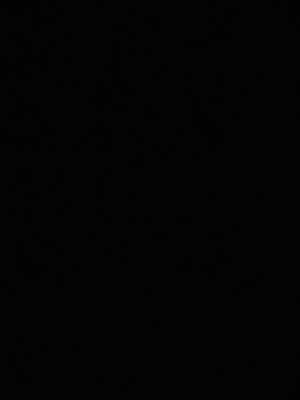 Alex07's Profile Photo