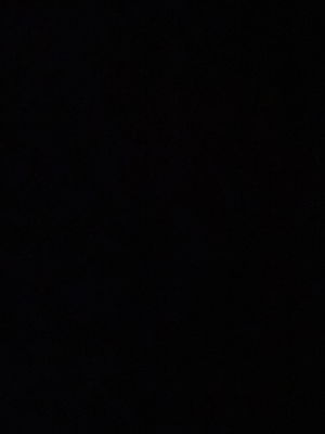 sidney2002stevens's Profile Photo